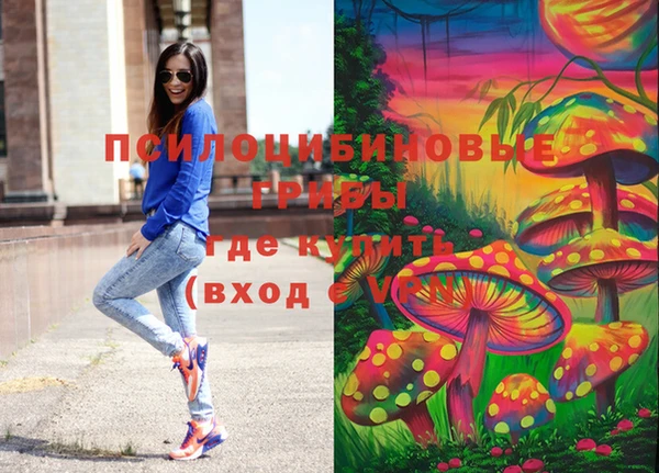 мяу мяу мука Алексин