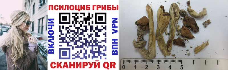 Псилоцибиновые грибы мухоморы  Заозёрный 